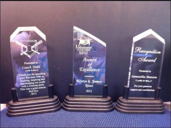 Acrylic stand plaque. Three styles left= stop sign top, middle=pointed on the left, right= triangle top.